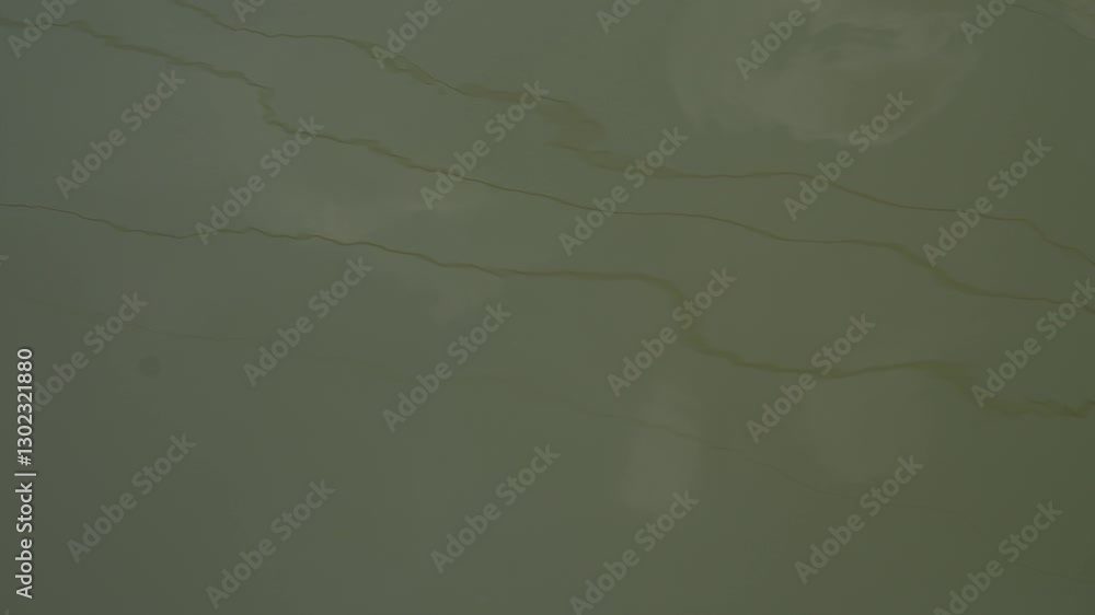 Poster smooth abstract green texture with lines on serene surface