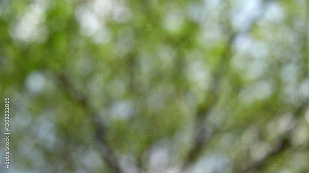 Aufkleber out of focus greenery and blurred leaves create soft bokeh effect in natures serene atmosphere.