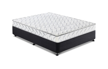 Bes  isolated on Transparent background