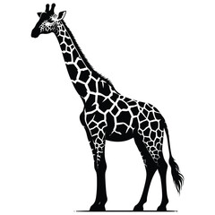 Fototapeta premium giraffe silhouette vector illustration