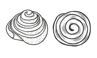 Cinnabon sweet bakery product sketch engraving vector illustration, top and side view. Imitation scratchboard style. Black and white hand drawn image