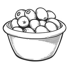 Bowl of olives in line art style. Engraving. Vector illustration of a plate with olives. Hand drawn sketch