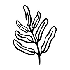 botanical green leaf hand drawn illustration