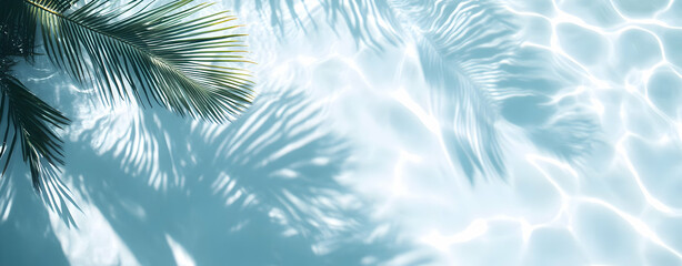 Abstract Reflections, Palm Frond Shadows Dancing on Tranquil Water Surface, Evoking Serenity and Coastal Charm in a Refreshing Blue Toned Palette