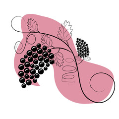 black and white currant