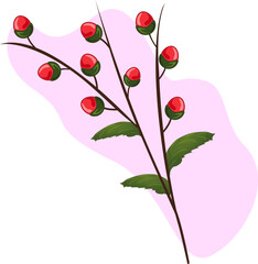 bud on a branch. A flower