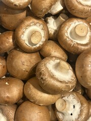 harvest of brown champignons on a store shelf