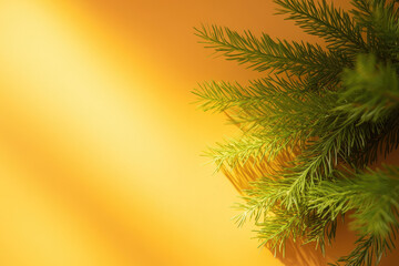Obraz premium Green pine branches casting shadows on vibrant yellow background create lively and fresh atmosphere