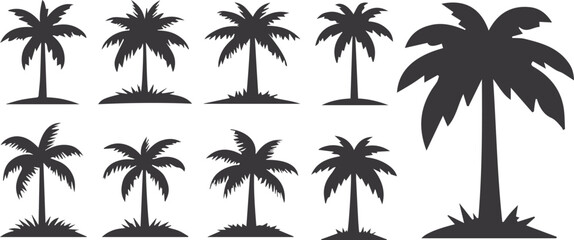 palm trees silhouettes. palm tree silhouette icon collection set