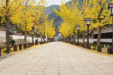 津和野町の殿町通り