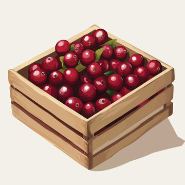 red cranberries wooden crate clip art preview