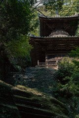 A quiet autumn temple in Japan