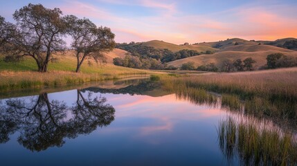 Pond Reflections: Dawn Hills & Tranquil Waterscape 
