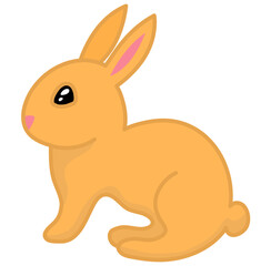 Rabbit Cute Pose  Illustration Set