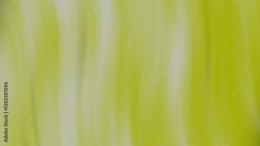 Poster soft green abstract background with gentle gradient and flowing textures for creative design or arti
