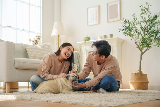 Asian couple shares a joyful moment while playing with their pet dog in a living room. relaxation and bonding.