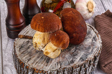 Raw natural wild porchini mushrooms