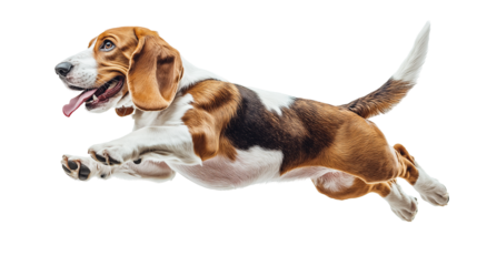 Dog jumps joyfully in a side view showcasing its energy and athleticism against a clean background