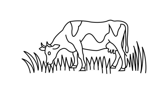 Cow on pasture Continuous line draw Full length single line animation.