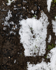 Top view, snow texture. Background, winter period