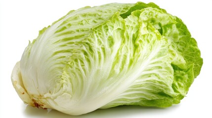 Lettuce
