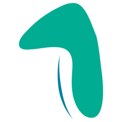 Hand Drawn Abstract Ornament Illustration Set