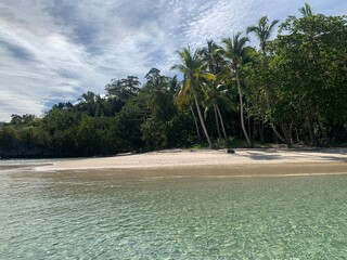 BEACH, ISLAND, TROPICAL, PALM TREES, PARADISE, INDONESIA