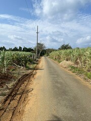 来間島の道