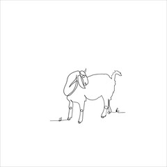 sheep, ram, livestock one line art. Continuous line drawing of farm, nature, agriculture, farm animals, rural life, ranch