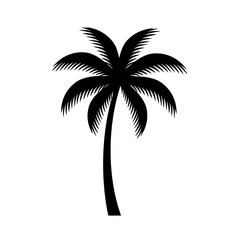 Palm silhouette: A stark black silhouette of a majestic palm tree, its fronds elegantly spread. Evokes a sense of tropical serenity and simplistic beauty.