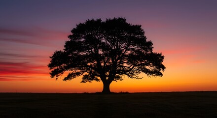 Obraz premium Silhouette of a grand oak tree against a vibrant sunset over an open field, creating a serene landscape at dusk. Generative AI