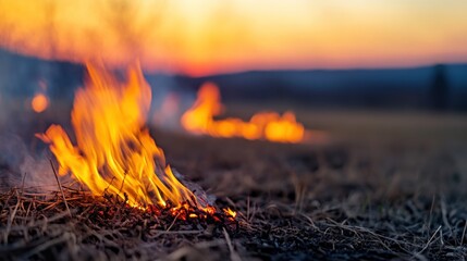 Wildfire at Sunset in a Field