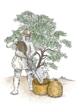 beekeeper and tree