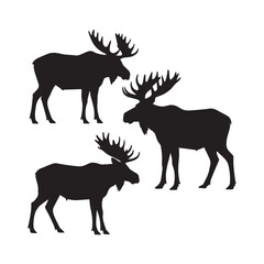 A set of three moose silhouettes in black, isolated on a white background