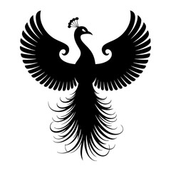 Obraz premium peacock vector illustration