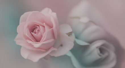 A muted, abstract image with a soft focus.