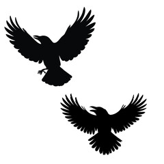Fototapeta premium Crow silhouette vector 