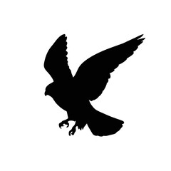 Obraz premium Flying falcon silhouette vector 