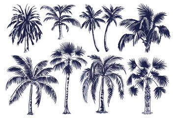 Obraz premium Minimalist Palm Tree Silhouettes in Various Shapes 