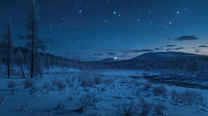 Starry night in the Siberian wilderness, snow covered hills and forests, clear blue sky, mysterious glow of the moon, long shadows on the ground, midnight winter wonderland