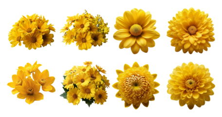 Vibrant Yellow Floral Arrangement Featuring Various Flower Types, Bundle Set Collection, Isolated on Transparent Background