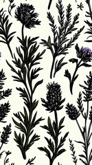 Botanical illustration featuring various herbs and flowers in black