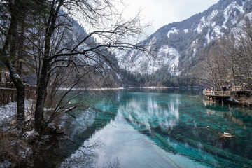 Five Flower Lake in Jiuzhaigou, is a UNESCO world natural and cultural site. As the world's most...