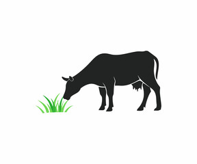 Silhouetted Cow Grazing in a Field
