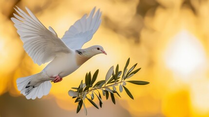 Obraz premium Dove Soaring into Golden Sunrise with Olive Branch Symbolizing Peace and Hope