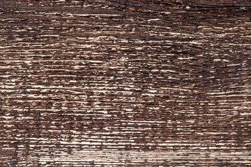 Close-up of textured wood surface showcasing intricate grooves and rich brown tones, perfect for interior design or artistic inspiration.
