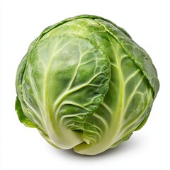 Fototapeta premium Single Fresh Green Brussels Sprout on White Background