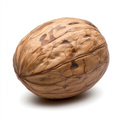 Obraz premium Single Walnut on White Background Close up View of Brown Nut