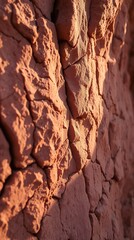 A Detailed Close-Up Of A Textured, Cracked, And Weathered Sandstone Cliff Face, Bathed In Warm Sunlight, Exhibiting A Diverse Palette Of Ochres, Browns, And Reds, With A Shallow Dept.
