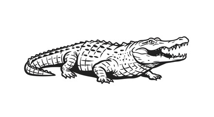 Naklejka premium Black and White Crocodile Illustration